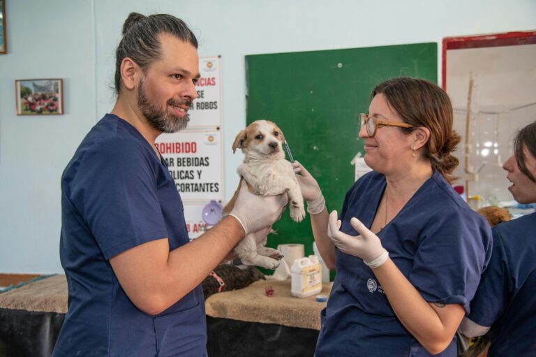 Veterinari cinque zampette 🐾