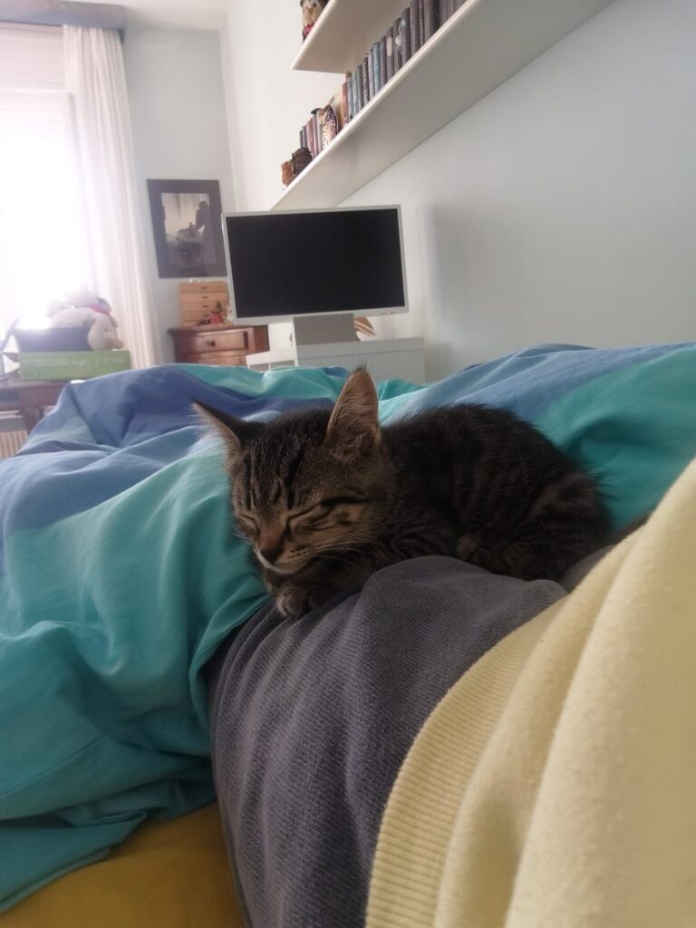 pelu