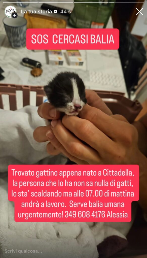 URGENTE